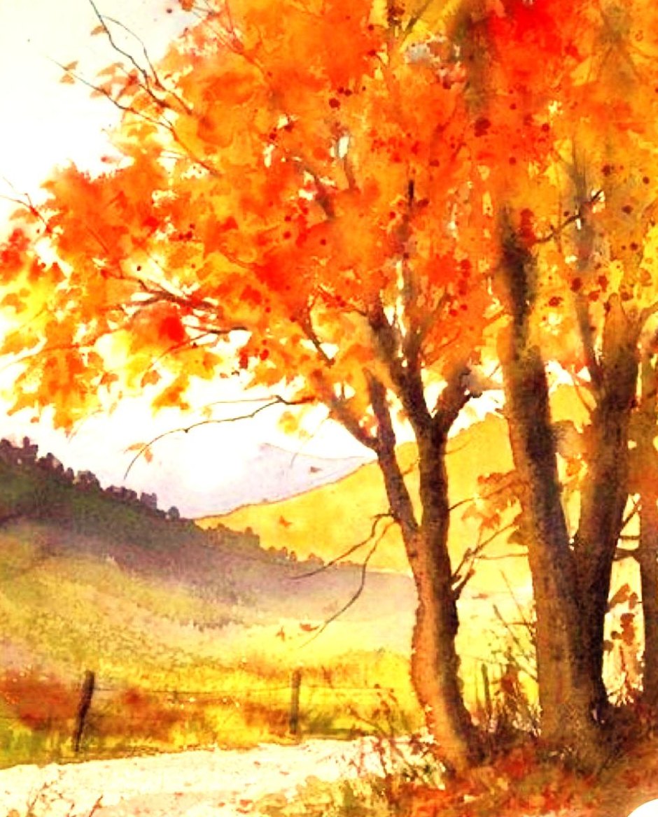 Charcoal drawing study